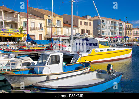 Barche nel porto, Meze, Herault, Languedoc Roussillon regione, Francia, Europa Foto Stock