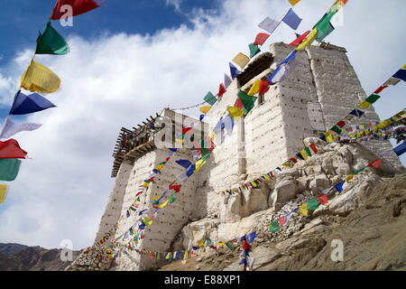 Namgyal Tsemo Gompa, Leh, Ladakh, India, Asia Foto Stock