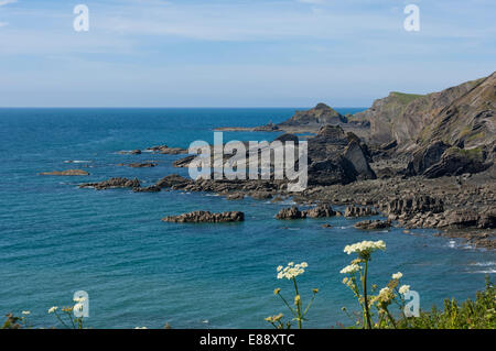 Affioramenti di roccia a Hartland Quay, North Cornwall, England, Regno Unito, Europa Foto Stock