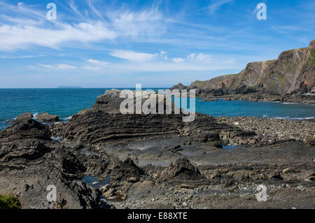 Affioramenti di roccia a Hartland Quay, North Cornwall, England, Regno Unito, Europa Foto Stock