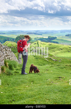 Un escursionista a piedi il loro cane al Vallo di Adriano in Northumberland, Inghilterra del Nord Est. Foto Stock