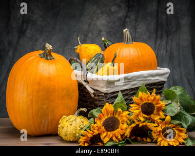 Cesto in Vimini pieno di estate zucche e zucche e mazzo di girasoli su sfondo grigio scuro Foto Stock