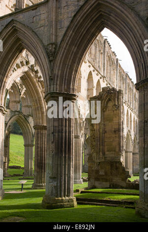 Le rovine dell'Ordine Cistercense di Rievaulx Abbey nel North Yorkshire. Foto Stock