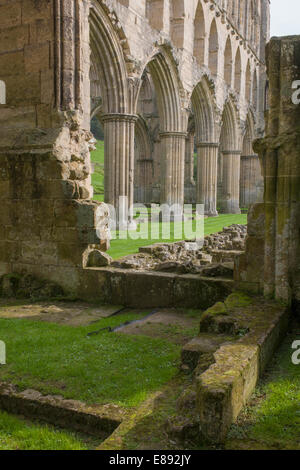 Le rovine dell'Ordine Cistercense di Rievaulx Abbey nel North Yorkshire. Foto Stock