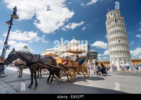 Pisa,Italia,l'Europa,torre,piazza dei miracoli Foto Stock