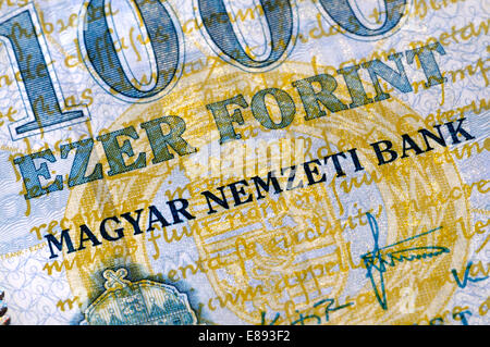 Corrente 1000 Ungherese Fiorino nota - 'Magyar Nemzeti Bank' - Hungarian National Bank Foto Stock