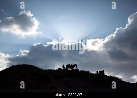 La silhouette di un cavallo come il sole tramonta su Cerro Quemado montagna in Wirikuta, Real de Catorce, San Luis Potosi, Messico Foto Stock