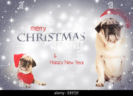 Due cani vestiti da Babbo Natale prima di sfondo scintillante, con testo auguri di Buon Natale e Felice Anno Nuovo Foto Stock