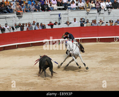 Corrida de rejon dance Foto Stock