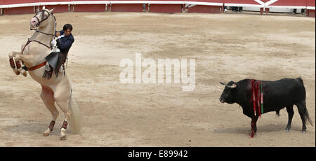Corrida de rejon giocare Foto Stock