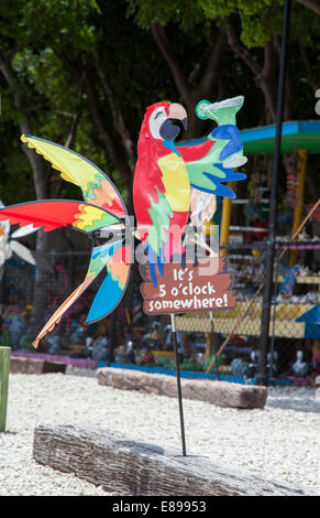 Le sue ore 5 da qualche parte parrot bandiera in Islamorada Florida Keys Foto Stock