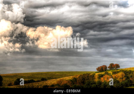 Friston East Sussex, Regno Unito. Il 2 ottobre, 2014.immagine HDR presi da Friston area forestale. Autunno Cloudscape.David Burr/Alamy Live News Foto Stock