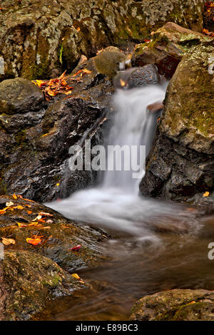 Cascata cascata in autunno, circondata da rocce e massi sparsi e colorato fogliame di autunno. Foto Stock