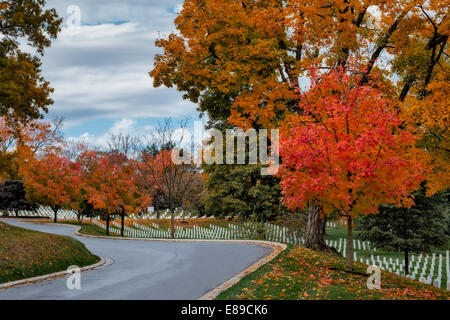 Caduta delle Foglie a loro picco adornano le pietre di testa dei nostri valorosi soldati al Cimitero Nazionale di Arlington, in Virginia. Foto Stock