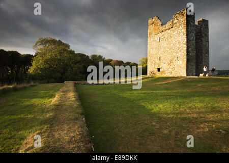 Audley il Castello, Strangford Foto Stock