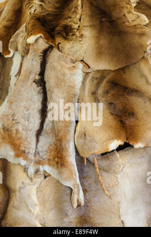 sfondo fatto di pellicce animali reali, pellicce Foto Stock