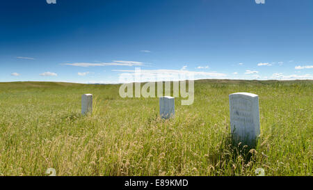 I marcatori di sepoltura al Little Bighorn Battlefield National Monument. Little Bighorn Battlefield National Monument conserva il sito Foto Stock
