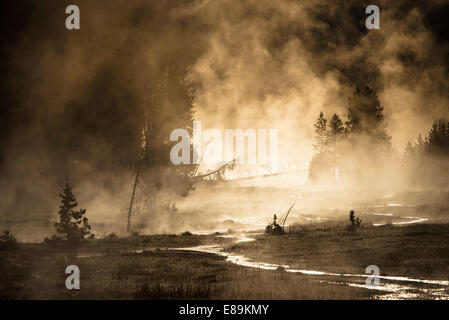 Vapore sorge aggrovigliato Creek nel Parco Nazionale di Yellowstone. Foto Stock