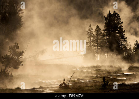 Vapore sorge aggrovigliato Creek nel Parco Nazionale di Yellowstone. Foto Stock