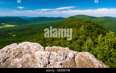 Vista da una scogliera sulla grande Schloss, in George Washington National Forest, VA. Foto Stock