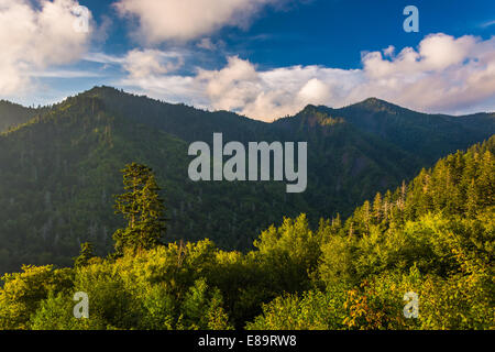 Luce della Sera sul Smokies, visto da un si affacciano sul divario ritrovata strada nel parco nazionale di Great Smoky Mountains, Tennessee. Foto Stock