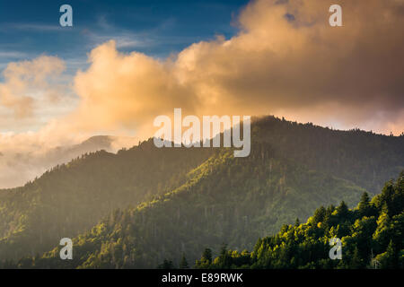 Luce della Sera sul Smokies, visto da un si affacciano sul divario ritrovata strada nel parco nazionale di Great Smoky Mountains, Tennessee. Foto Stock