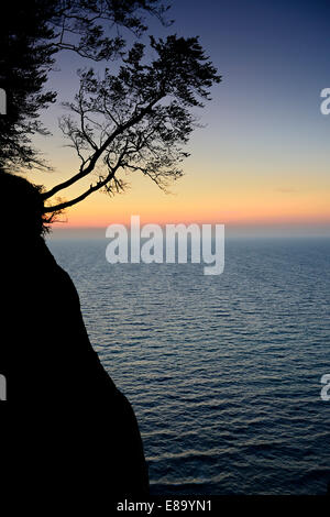 Sunrise a Chalk cliffs, alberi sulla scarpata, Møn o Moen Isola, Danimarca Foto Stock