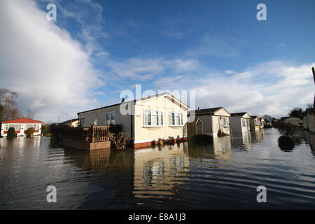 Inondazioni in Laleham, vicino a Chertsey Surrey UK 2014 Foto Stock