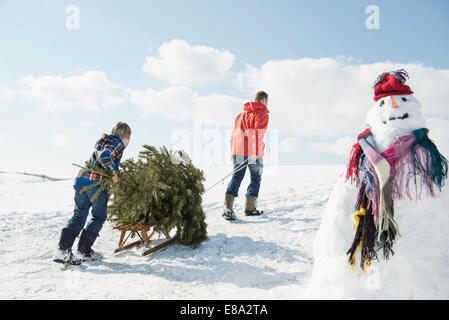 Padre e figlio di abete di trazione sulla slitta, Baviera, Germania Foto Stock