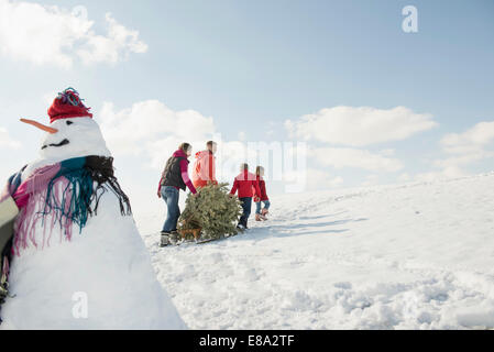 Famiglia di abete di trazione sulla slitta, Baviera, Germania Foto Stock