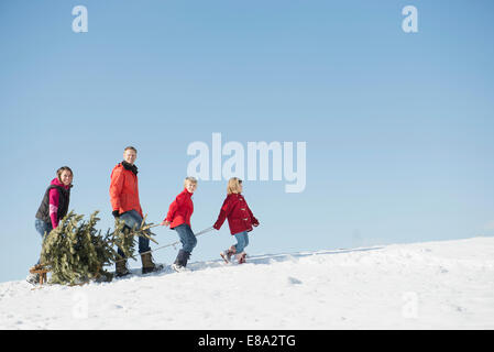 Famiglia di abete di trazione sulla slitta, Baviera, Germania Foto Stock