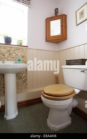 Al piano di sotto un guardaroba wc e lavabo in una casa nel Regno Unito. Foto Stock