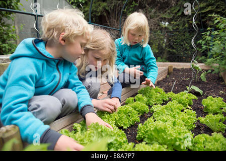 Piccola bionda ispezionando i bambini giardino vegetale Foto Stock