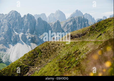 Due Mountain Bike racing all mountain via Foto Stock