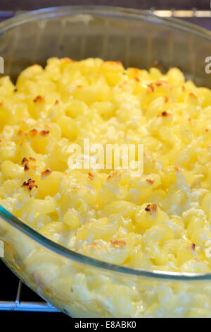 La cottura di maccheroni con formaggio in forno Foto Stock