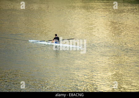 Uomo italiano in un bianco scull sculling nel tardo pomeriggio di sole la colata di riflessi dorati sulle acque del fiume Arno a Firenze Foto Stock