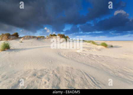 Cloudscape oltre le dune di sabbia sulla costa del mare del Nord, Paesi Bassi Foto Stock