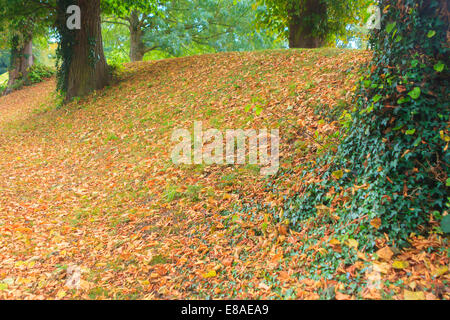 Oakham,Rutland, 3° ottobre 2014. In autunno è finalmente arrivato nel Regno Unito. Le condizioni di vento e di un radiatore molto sentire nel tempo ha fatto sì che più sono le foglie che cadono dagli alberi. La previsione del Regno Unito è per la temperatura scendesse ad una più normale periodo autunnale e di pioggia per essere ampi attraverso il paese Credito: Jim Harrison/Alamy Live News Foto Stock