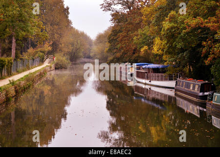 Oxford, Regno Unito. 3° Ott, 2014. Colori autunnali sulla riva del Tamigi in Oxford. Mentre le temperature rimangono mite e le previsioni meteo per il fine settimana è per la pioggia. foto da Sidney Bruere/Alamy Live News Foto Stock