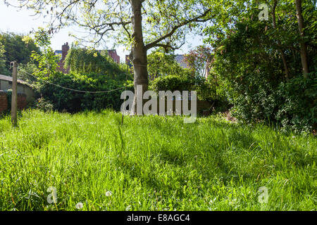 Incolto giardino sul retro con erba lunga, Nottinghamshire, England, Regno Unito Foto Stock