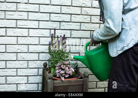 Ritagliato colpo di donna matura, impianti di irrigazione in giardino Foto Stock