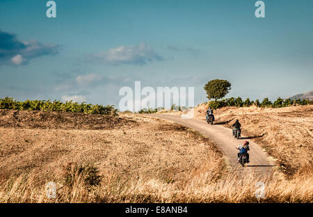 Vista posteriore di quattro amici a guidare moto su strada rurale, Cagliari, Sardegna, Italia Foto Stock