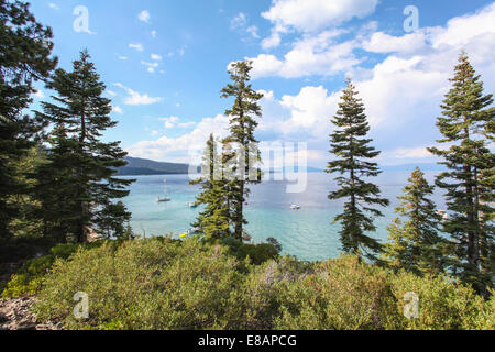 Vista attraverso gli abeti di Lake Tahoe, CALIFORNIA, STATI UNITI D'AMERICA Foto Stock