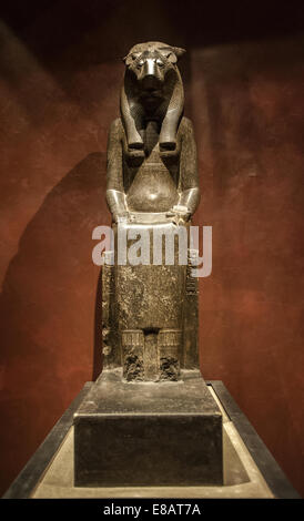 Italia Piemonte Torino Museo Egizio di statue della dea Sekhmet XVIII dinastia (1550 - 1292 BC ) Tebe , tempio di Karnak di Amen Foto Stock