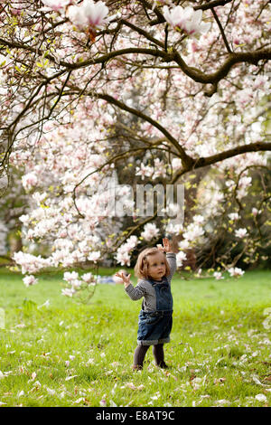 Giovane ragazza in piedi sotto agli alberi in fiore Foto Stock