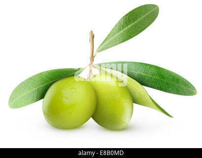 Due olive verdi sul ramo con foglie isolato su bianco Foto Stock