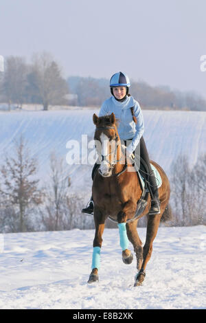Ragazza sul dorso di un cavallo bloodstock al galoppo nella neve Foto Stock