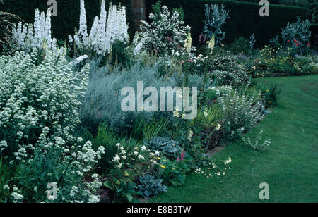 "Centranthus Ruber Alba' con elicriso e delphinium bianco in bianco estate confine a Brook Cottage Foto Stock