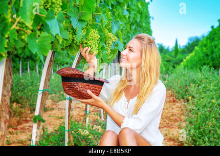 Felice ragazza sul campo di uva, donna giardiniere seduto per terra e prelievo grappoli di uva nella hat, alimenti biologici Foto Stock