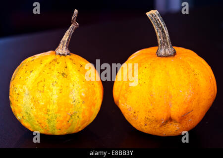 Il famoso zucche di Halloween vi accompagni a fare scherzi e chiedere per tratta Foto Stock